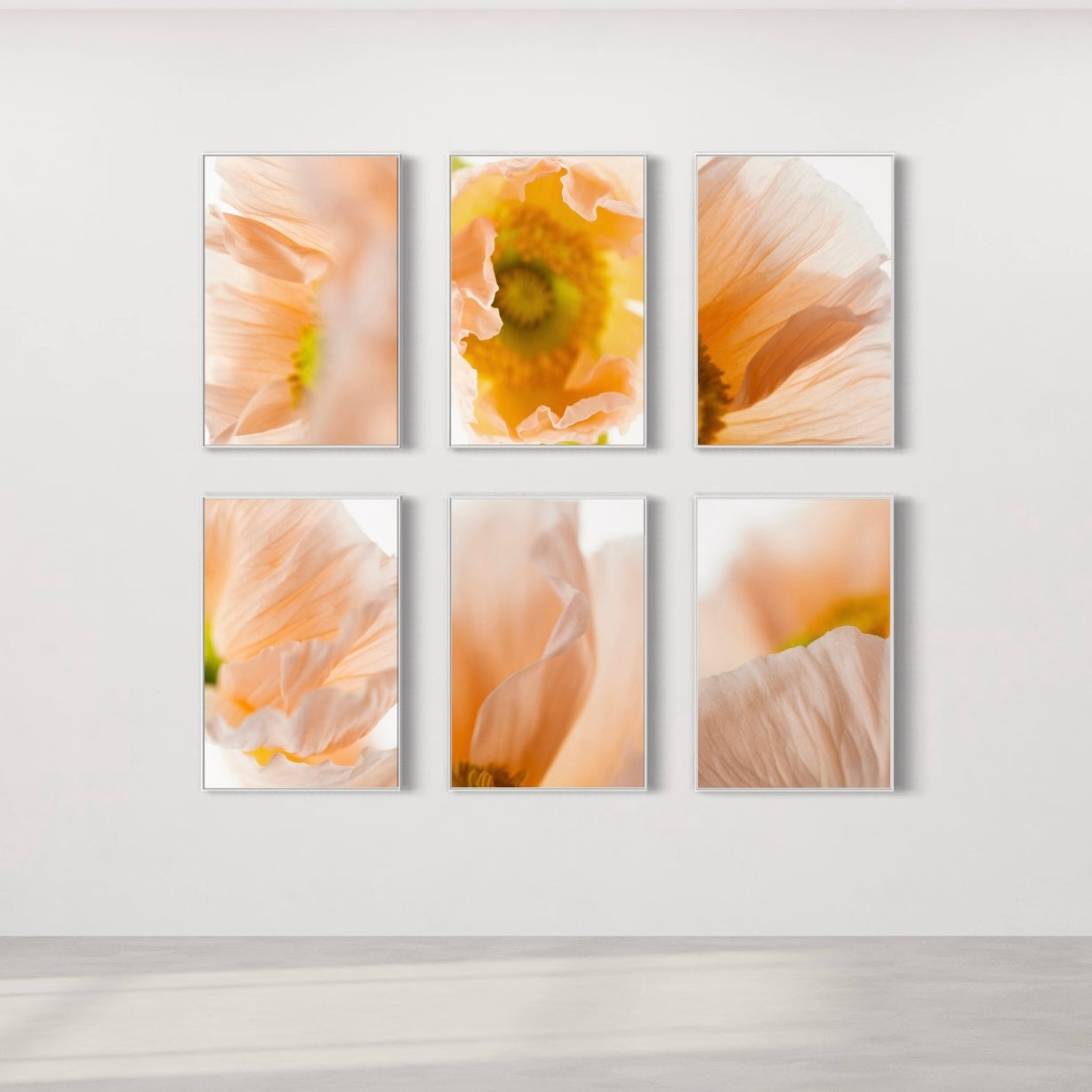 Framed Fine Art Print 75x100cm - Poppy IV