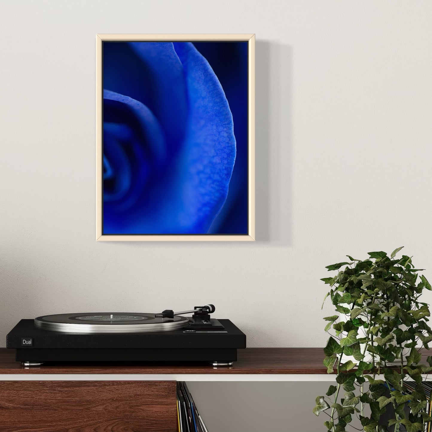 Framed Fine Art Print 30x40cm - Midnight Rose