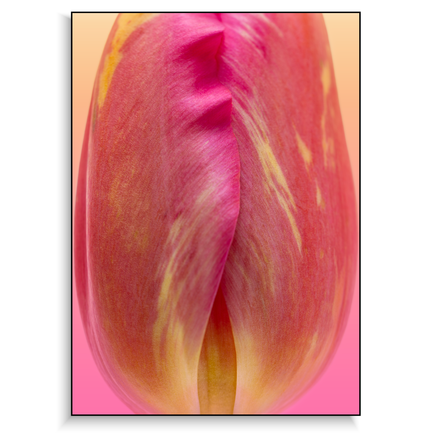 Fine art print | Bashful Bud