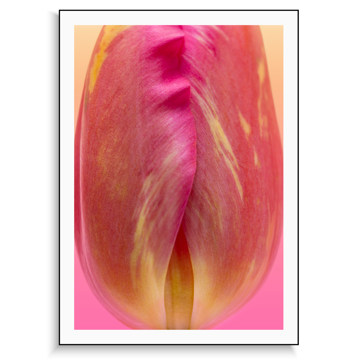 Fine art print | Bashful Bud