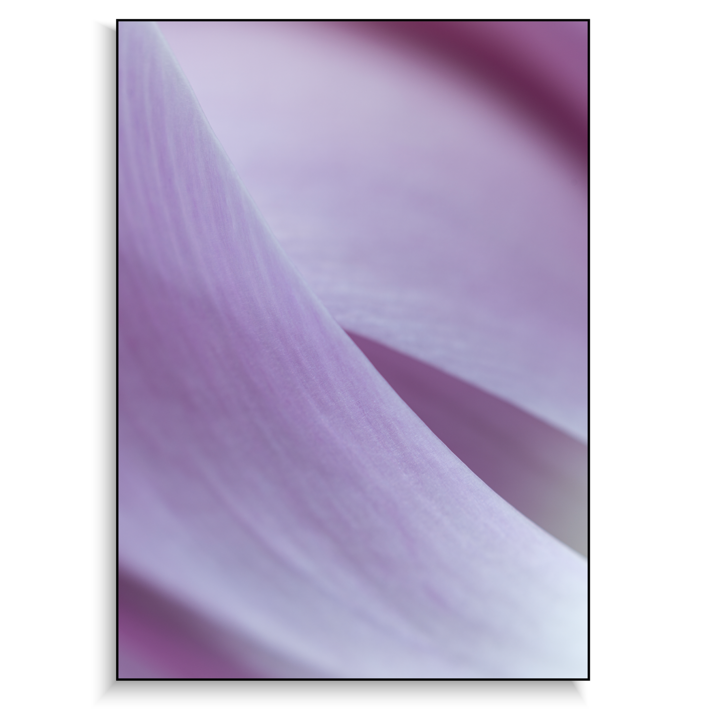 Fine art print | Misty Brushstrokes