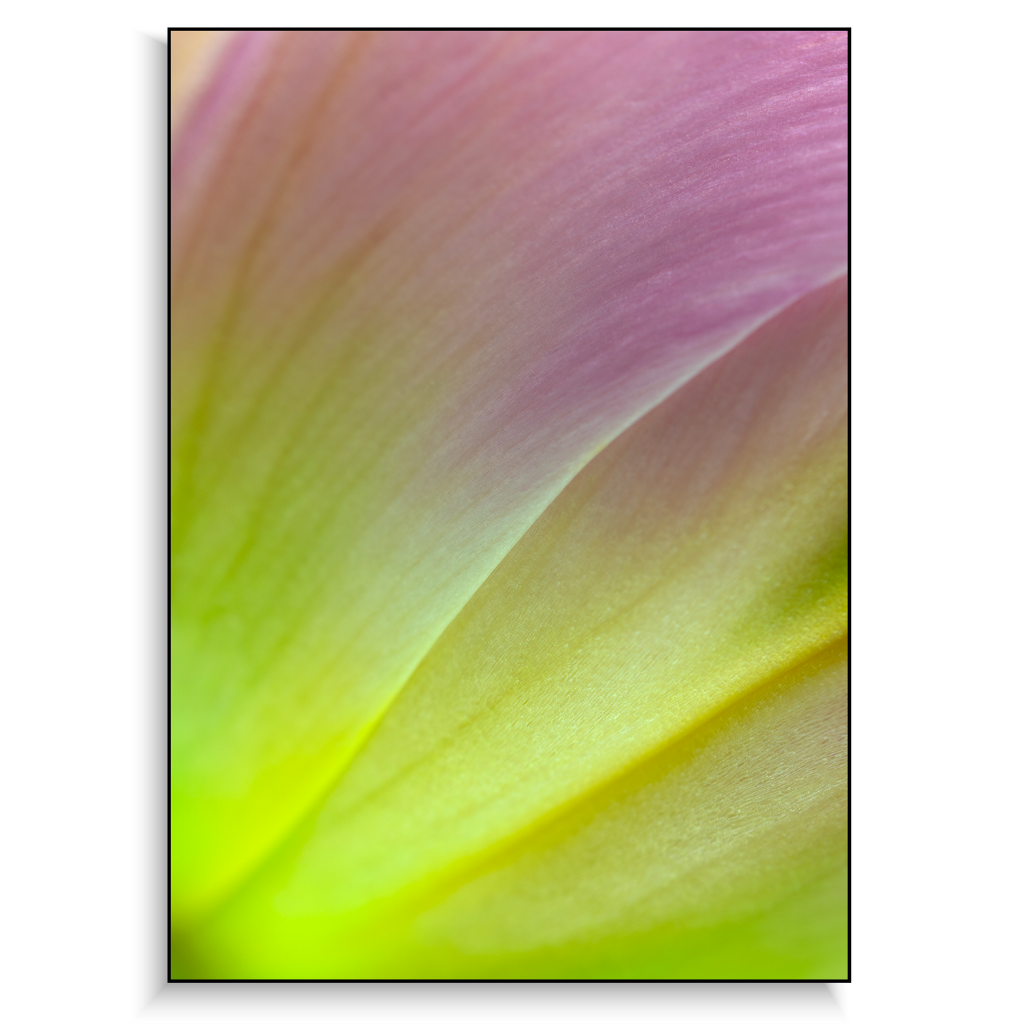 Fine art print | Luminous Brushstrokes