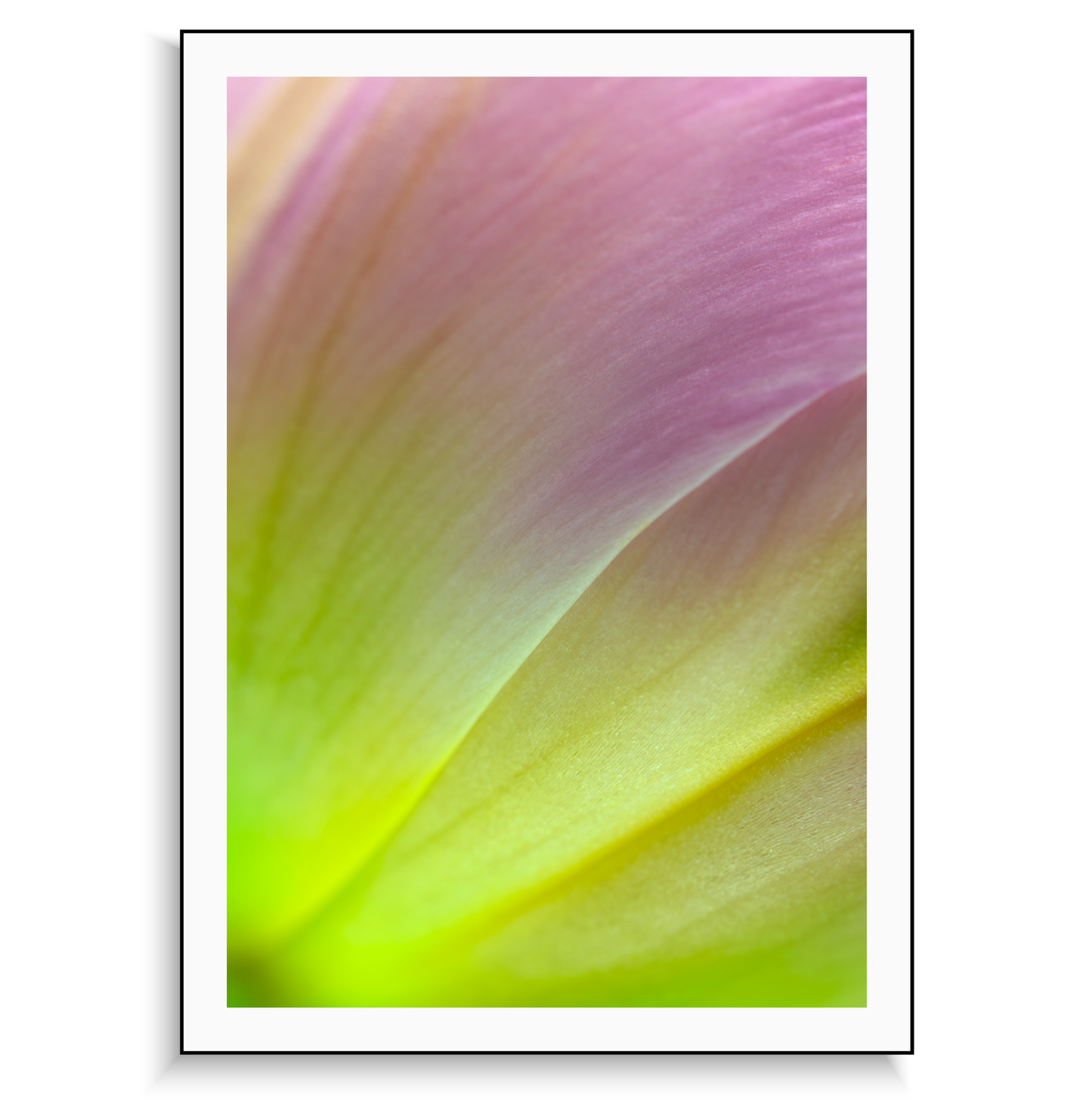 Fine art print | Luminous Brushstrokes