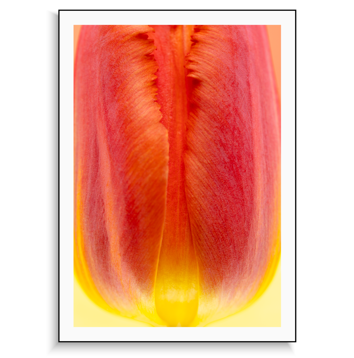 Fine art print | Fiery Bud