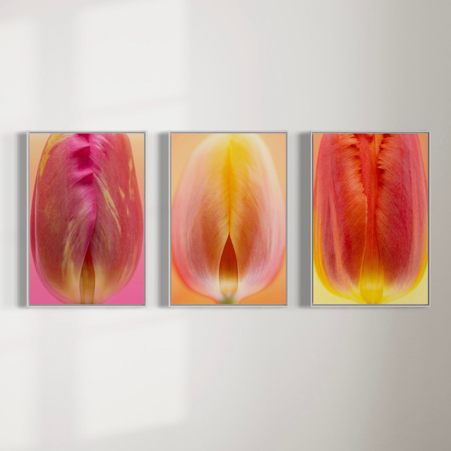 Fine art print | Radiant Bud