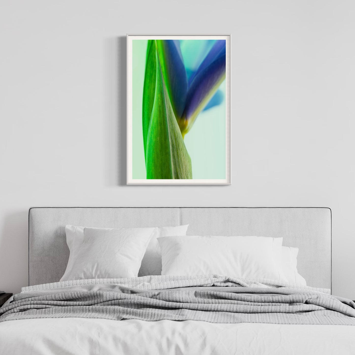 Fine art print | Emerging