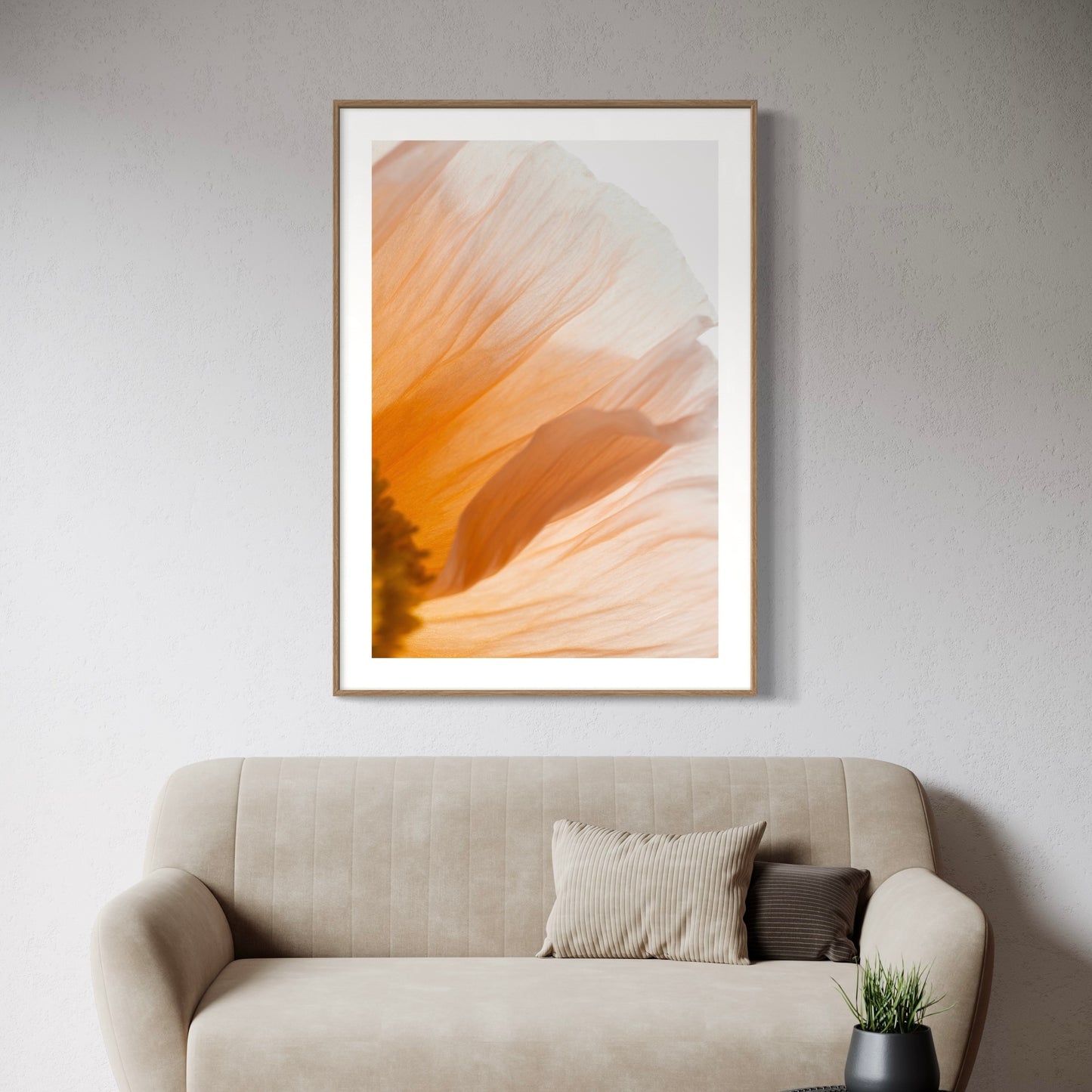 Fine art print | Poppy III