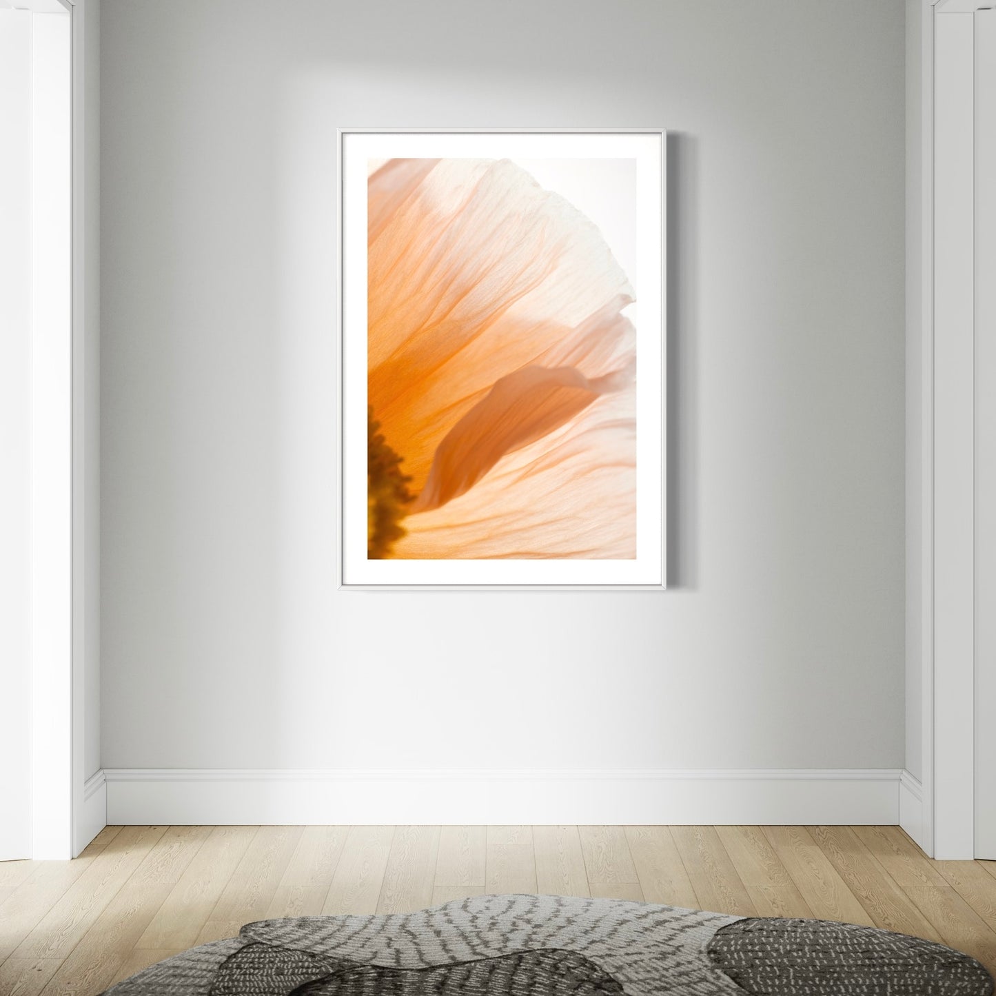 Fine art print | Poppy III