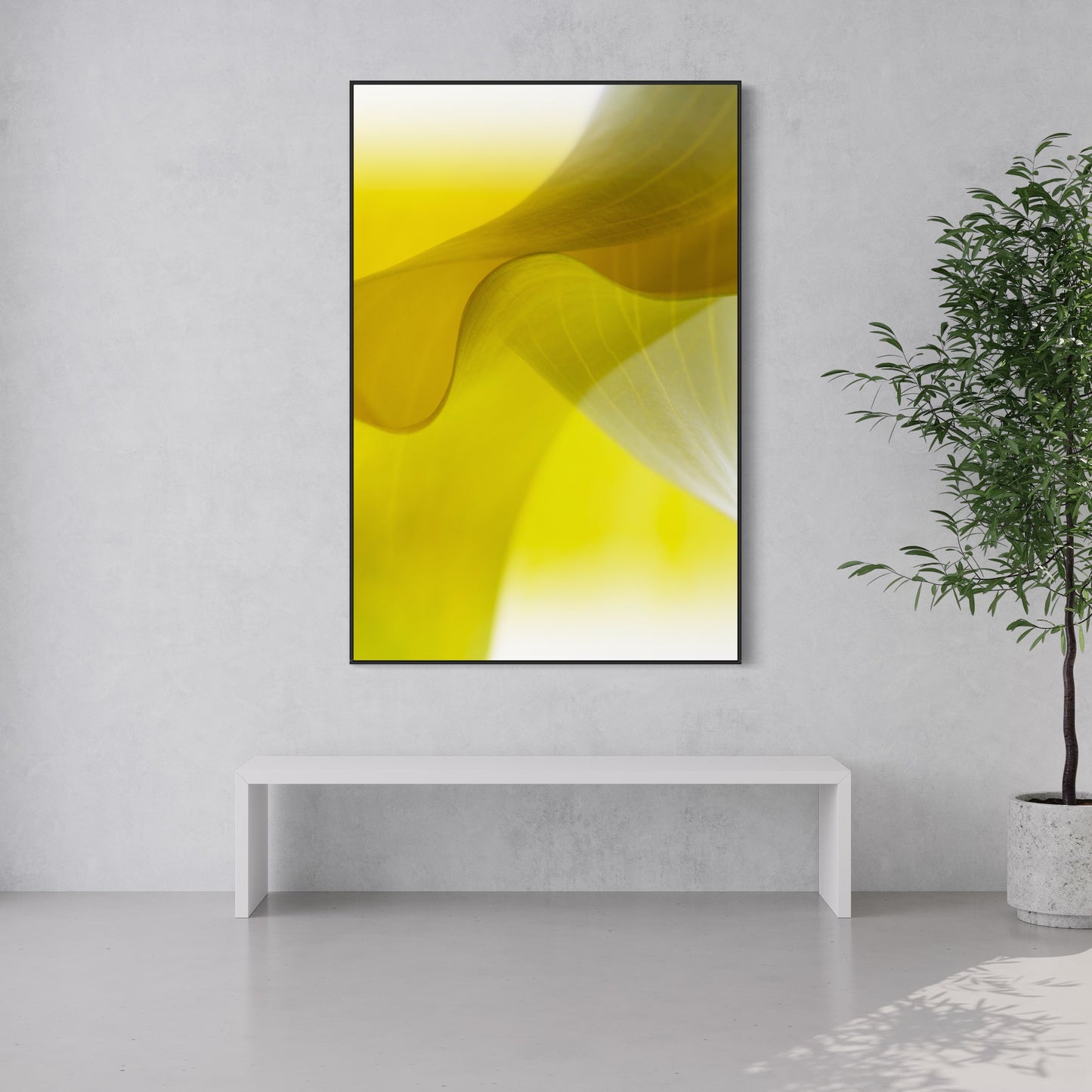 Fine art print | Dancing Calla I