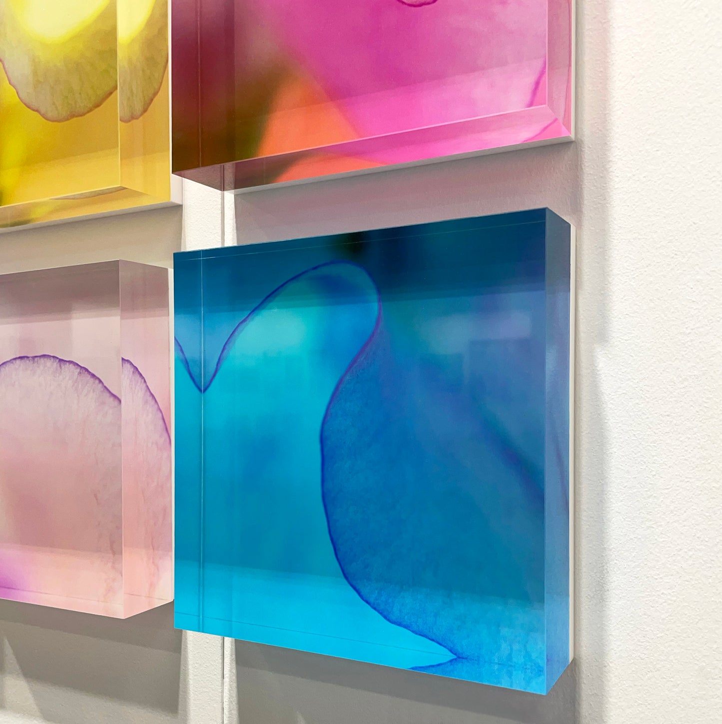 Fragments Collection