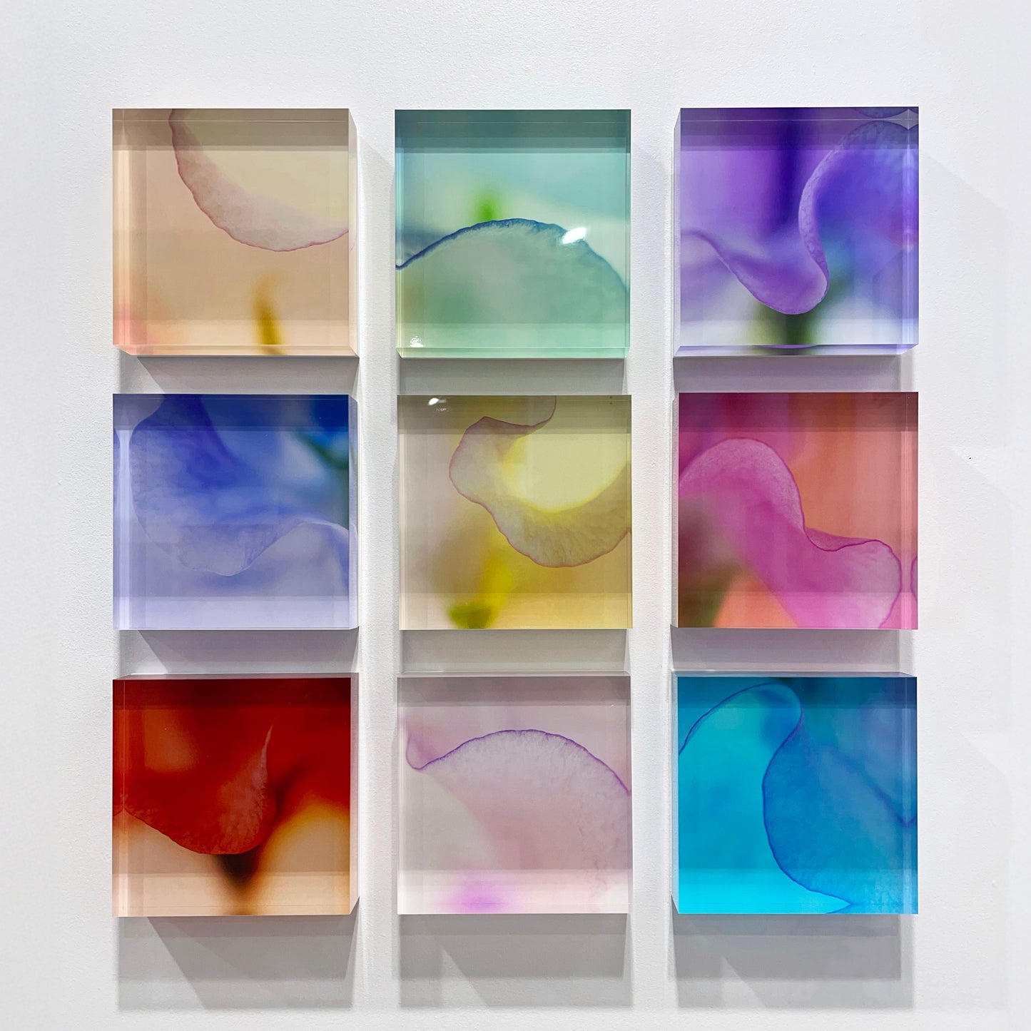 Fragments Collection