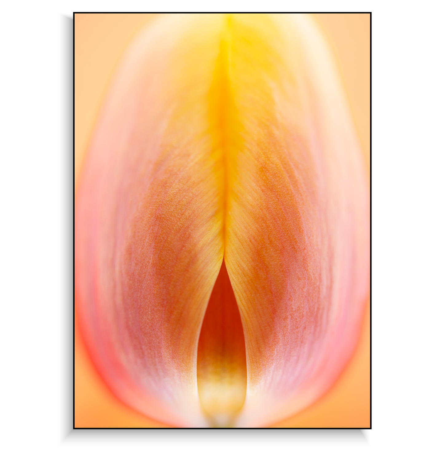 Fine art print | Radiant Bud