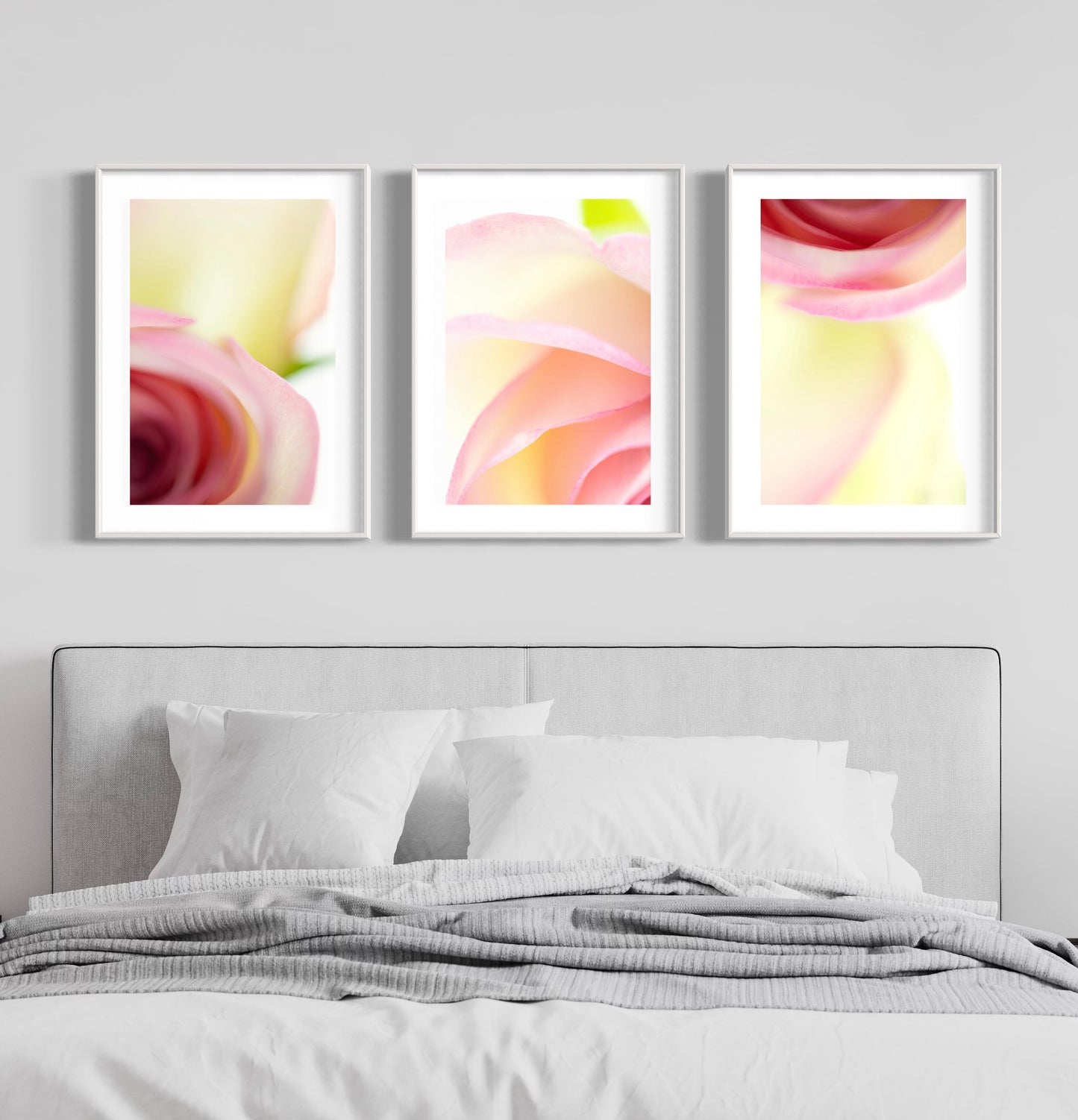 Fine art print | Rose swirl