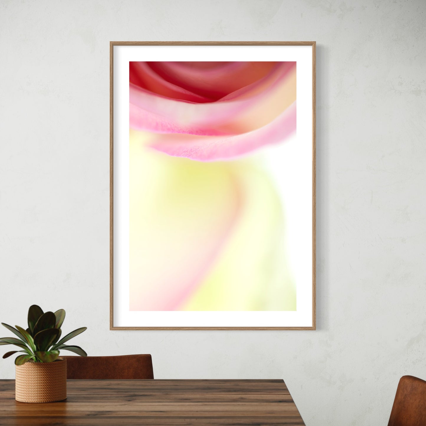 Fine art print | Rose swirl